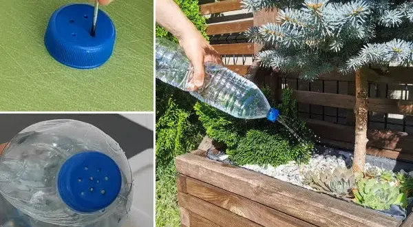 Zrób zraszacz ogrodowy z butelki PET: Prosty poradnik DIY