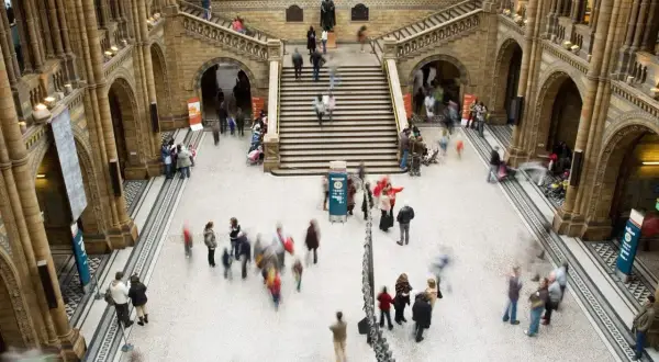 Besökare rör sig genom ett stort, arkitektoniskt imponerande museum i London.