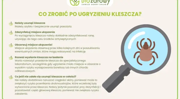 Ugryzienie kleszcza: kiedy do lekarza, aby uniknąć poważnych problemów