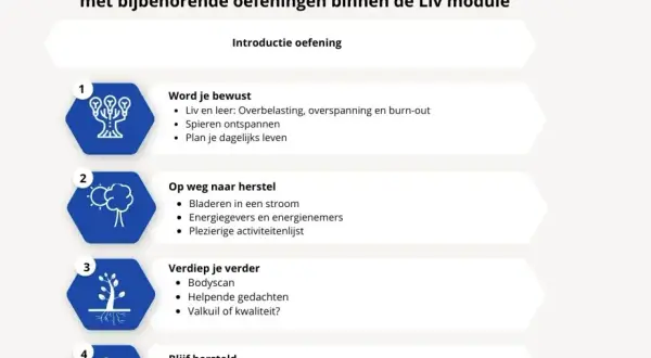 Stappenplan voor energie in balans: bewustwording, herstel, verdieping en behoud. Oefeningen voor overbelasting, overspanning en burn-out.