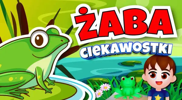 Jak rozmnażają się żaby? Zaskakujące etapy ich rozwoju w wodzie