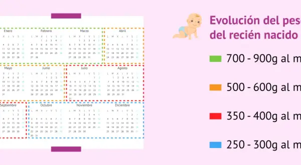 Calendario con meses y gráfico de evolución de peso de recién nacido.