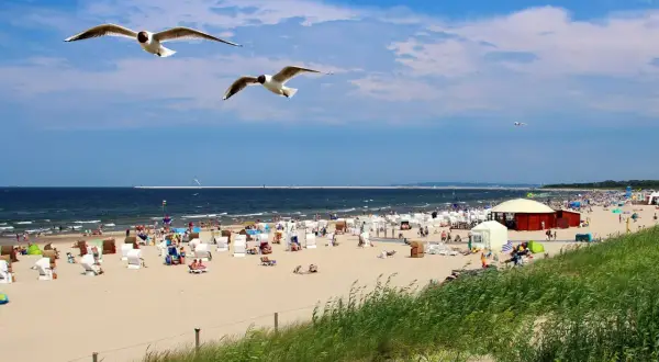 Słoneczna plaża pełna ludzi, leżaków i parawanów. Nad głowami szybują mewy, a w oddali widać morze, które kusi najcieplejszą wodą w Bałtyku.