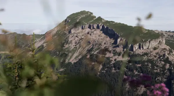 Der **hohe Ifen** ragt majestätisch auf, umgeben von felsigen Hängen und einem dichten Nadelwald.
