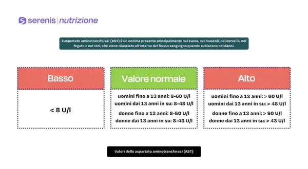 Valori AST (aspartato aminotransferasi) negli esami del sangue: basso (<8 U/I), normale (range specifici per età e sesso) e alto (> range normali).