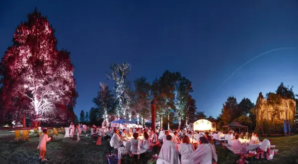 Festliche Nacht bei Essingen Veranstaltungen: Gäste in Weiß speisen unter beleuchteten Bäumen und Sternenhimmel.