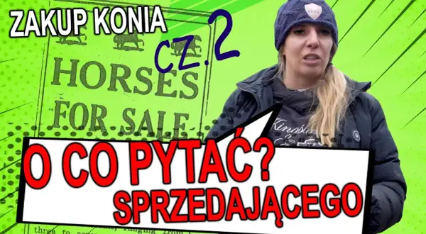 Jak kupić konia: uniknij najczęstszych błędów i wybierz mądrze