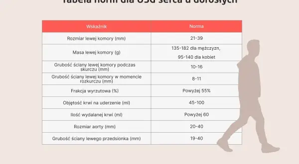 Tabela norm dla USG serca u dorosłych, prezentująca najdokładniejsze badanie serca. Wskazuje wymiary, masę i grubości ścian serca, frakcję wyrzutową, objętość krwi oraz rozmiar aorty.