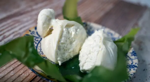 Due burrate fresche su un piatto decorato, un assaggio della loro autentica burrata origine.