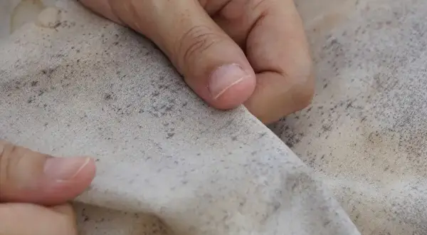 Dłonie pokazują materiał z widoczną pleśnią na materacu. Szare plamy pokrywają jasny materiał.
