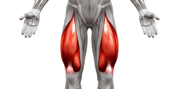 Todo sobre el músculo del cuádriceps femoral: funciones y lesiones