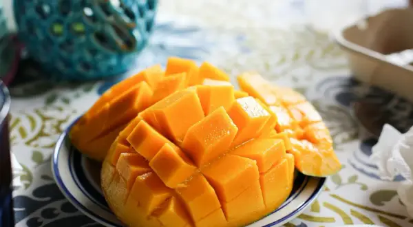 Czy koty mogą jeść mango? Sprawdź, co musisz wiedzieć o bezpieczeństwie
