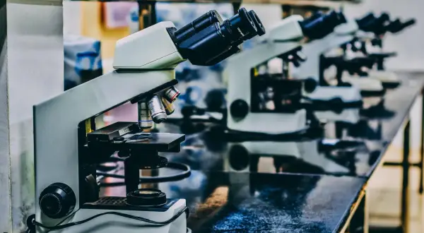 Biologia molekularna czym się zajmuje: kluczowe obszary i odkrycia