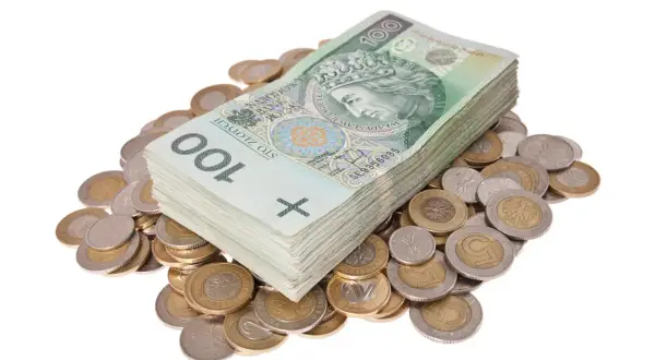 Stos banknotów 100 zł i monety. Obraz symbolizuje finanse, bogactwo, a także może nawiązywać do jawnego rejestru dłużników, gdzie widnieją zobowiązania finansowe.