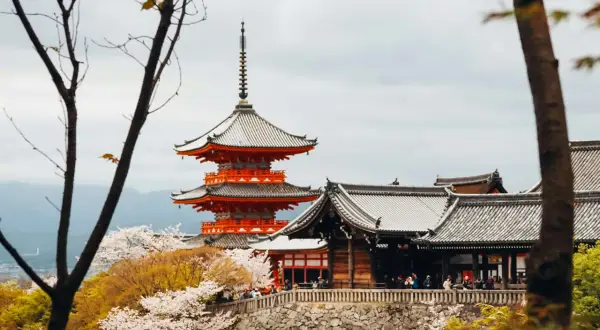 Piękna pagoda w stylu kuban w Kioto, otoczona kwitnącymi wiśniami.