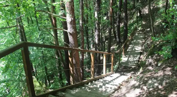 Piwniczna-Zdrój: atrakcje na każdą porę roku? Odkryj Beskid Sądecki!