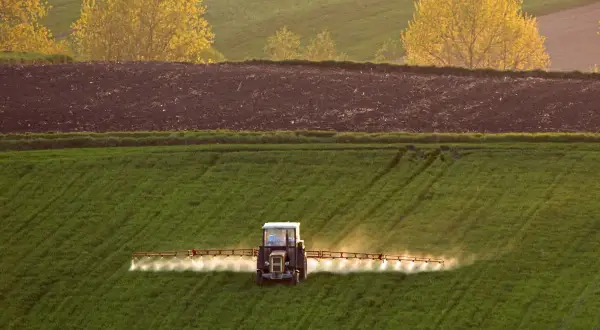 Traktor wykonuje oprysk na zielonym polu. W tle widać zaoraną ziemię i żółte drzewa.