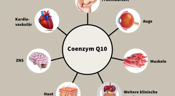 Coenzym Q10 ist wichtig für Herz, Gehirn, Augen, Haut, Muskeln, Fruchtbarkeit und weitere klinische Aspekte.