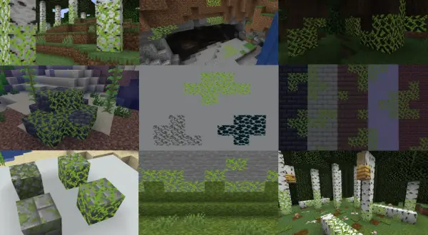 Blok mchu Minecraft w różnych odsłonach: na drzewach, kamieniach, w jaskiniach i pod wodą.