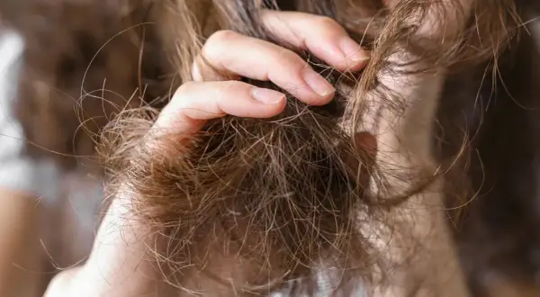 Mano acariciando un mechón de pelo seco y enredado, mostrando la textura áspera y las puntas abiertas.