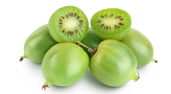 Mini kiwi prosto z działki. Zielone, okrągłe owoce, jeden przekrojony ukazuje drobne pestki.