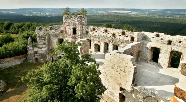 Ruiny zamku Tenczyn z wieżą i murami, otoczone zielenią, z widokiem na dolinę.