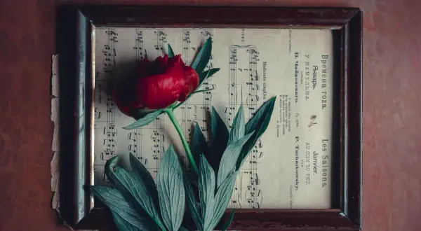 Czerwona róża na starych nutach, przypominająca melancholijną ballada.