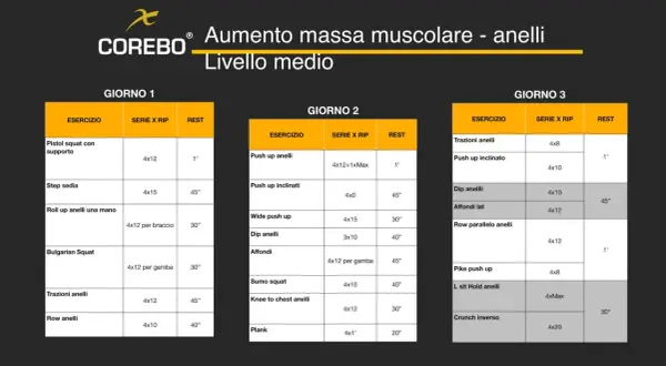 Scheda massa muscolare: allenamento per anelli su 3 giorni, con esercizi come pistol squat, push up e trazioni. Livello medio.