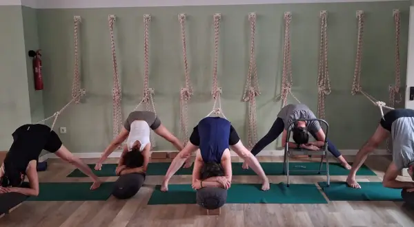 Clase de yoga iyengar posturas con cuerdas. Cinco personas practican posturas de flexión hacia adelante, algunas con apoyo de cuerdas.