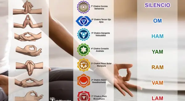 Ilustraciones de mudras, chakras y mantras en español. Guía para la meditación y el equilibrio energético.