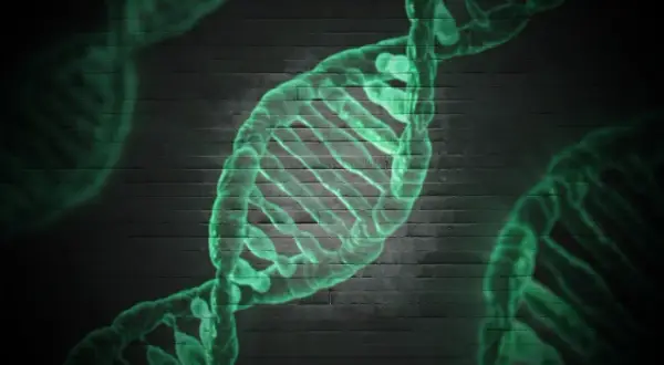 Zielona, świecąca struktura DNA na tle ciemnej ceglanej ściany. Może symbolizować badania nad zespołem Patau.