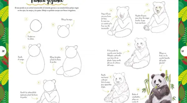 Panda gigante: guía paso a paso para dibujar animales. Aprende a trazar la cabeza, el cuerpo y los detalles del pelaje de este tierno oso.