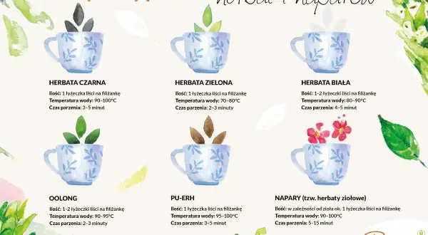 Ilustracja pokazuje, co zawiera herbata: czarną, zieloną, białą, oolong, pu-erh i napary ziołowe, wraz z instrukcjami parzenia.