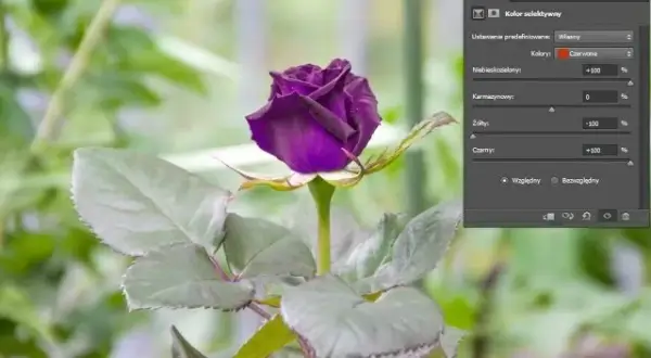 Jak zmienić kolor zdjęcia w Photoshopie - proste metody krok po kroku