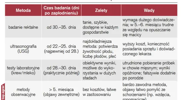 Jak obliczyć wiek ciąży? Poznaj metody i wybierz najdokładniejszą!