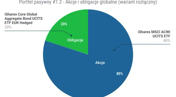 Wykres kołowy pokazuje podział portfela na akcje (80%) i obligacje (20%), co jest strategią inwestowania długoterminowego.