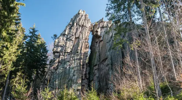 Skalny mostek na rudawych janowickich szczytach, otoczony drzewami.