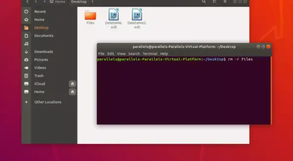 Terminal Linux affichant la commande pour supprimer des fichiers. L'utilisateur est sur le bureau et s'apprête à supprimer des éléments.