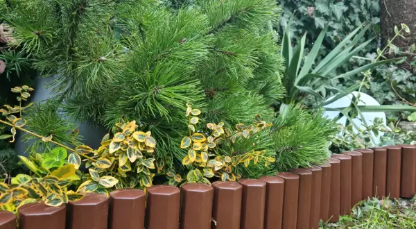 Jak układać palisady ogrodowe plastikowe - proste kroki i porady