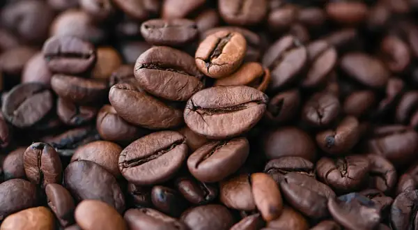 Chicchi di caffè qualità arabica tostati, un primo piano che evoca profumo e gusto intenso.