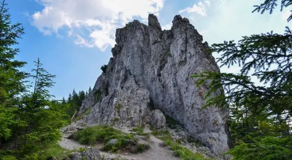 Kamienista ścieżka prowadzi pod górę do skalistego szczytu, który niczym gęsia szyja wznosi się ku niebu.