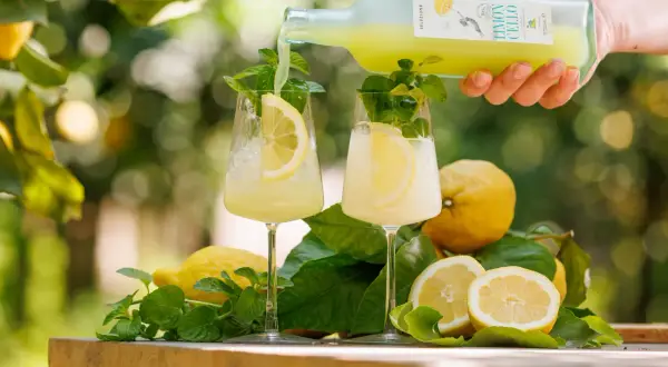 Zwei Gläser mit Eis, Zitronenscheiben und Minze werden mit einem hellgelben Limoncello-Getränk aus einer Flasche aufgefüllt. Frische Zitronen und Blätter liegen daneben.