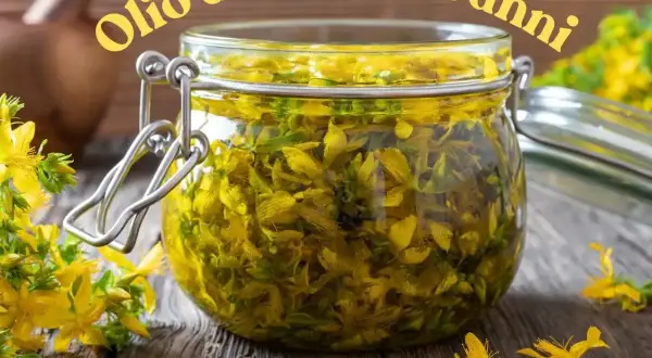 Un barattolo di vetro pieno di fiori di iperico, pronto per la ricetta dell'olio di San Giovanni.