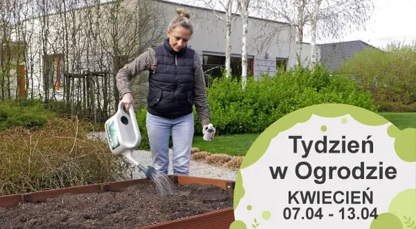 Kwiecień w ogrodzie: Kompleksowy przewodnik po pracach i poradach