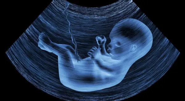 USG płodu, czyli badanie ultrasonograficzne, pokazuje rozwijające się dziecko.