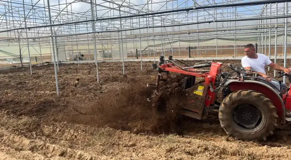 Trattore aratura in serra, lavorando il terreno per arricchirlo di sostanza organica.