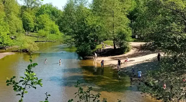 Słoneczny dzień nad Świdrem. Ludzie kąpią się i odpoczywają na piaszczystej plaży wśród zieleni.