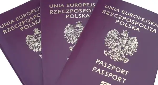 Ile kosztuje paszport dla dziecka? Cennik, zniżki KDR i ważność
