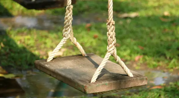 A simple wooden plank swing, suspended by thick ropes, hints at how to build a tree swing. The grass and water below suggest a peaceful backyard setting.