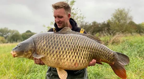 Glücklicher Angler hält einen riesigen Karpfen, gefangen beim Angeln an der Weser.